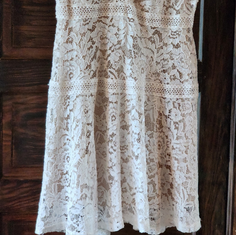 APRICOT Cream Lace Dress Size 10 Large Lined Fit & Flare Skater NEW - Picture 9 of 16